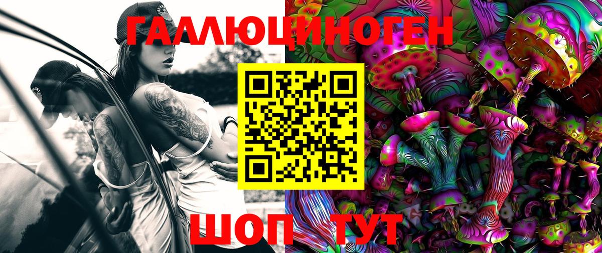 Псилоцибиновые грибы Magic Shrooms  Вход с VPN  Химки  Псилоцибиновые грибы GOLDEN TEACHER 