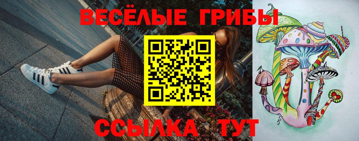 Псилоцибиновые грибы мицелий Химки